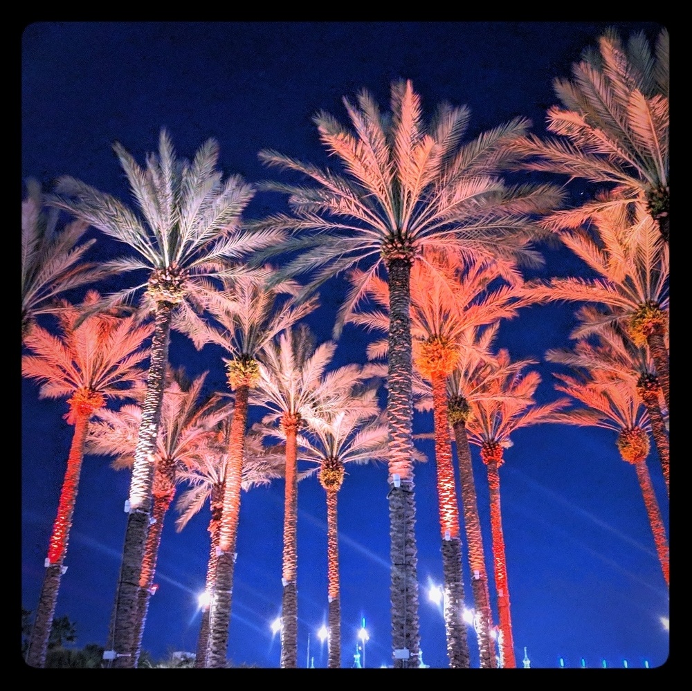 Meet your Posher, Miriam